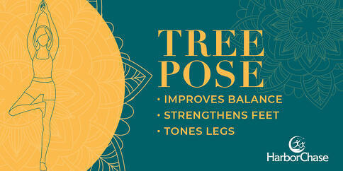 Graphic-Tree Pose-Guide to Yoga for Seniors
