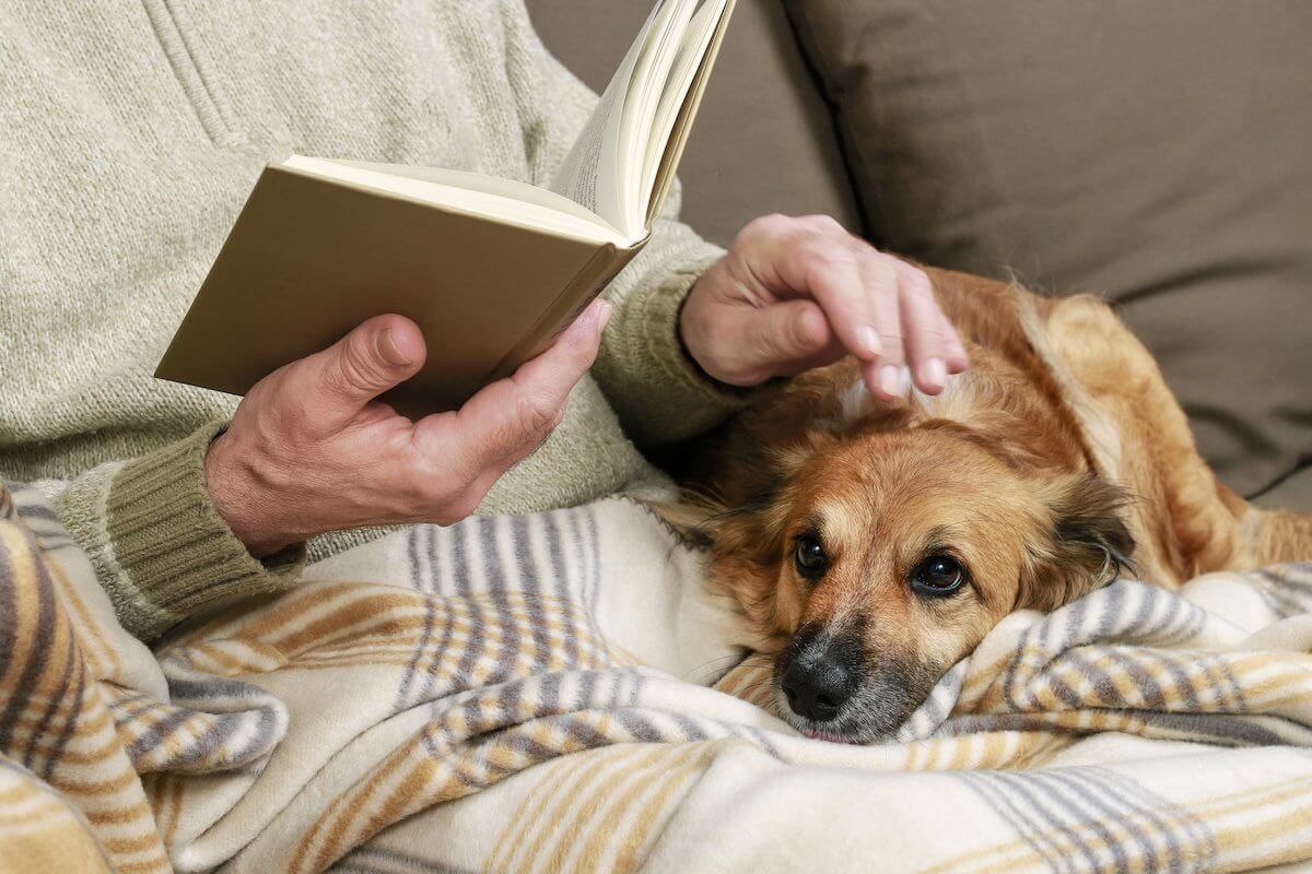 Senior man sitting on the sofa with his lovely dog and book-HarborChase Senior Living