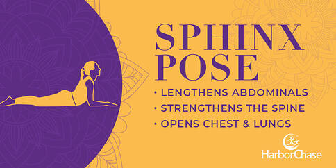 Graphic-Sphinx Pose-Guide to Yoga for Seniors