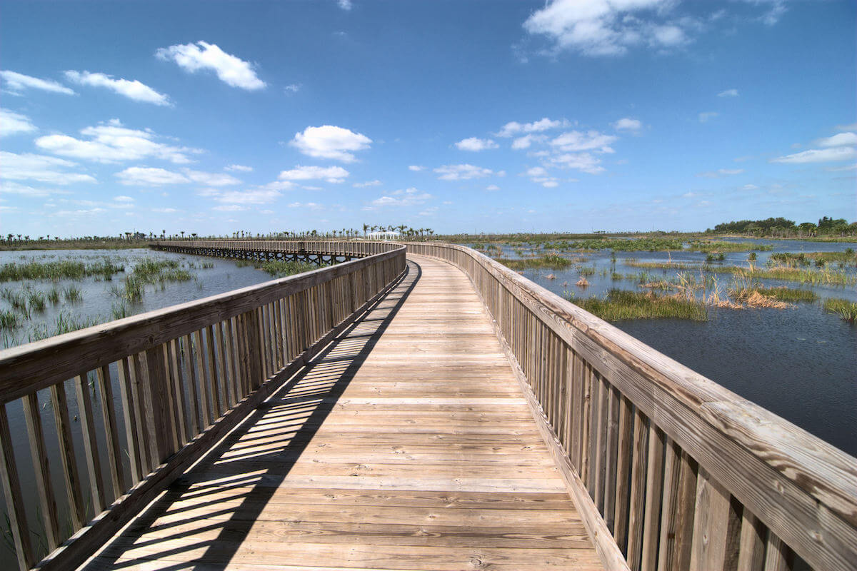Walkway at Wellington Marsh in south Florida _ Bending Walk