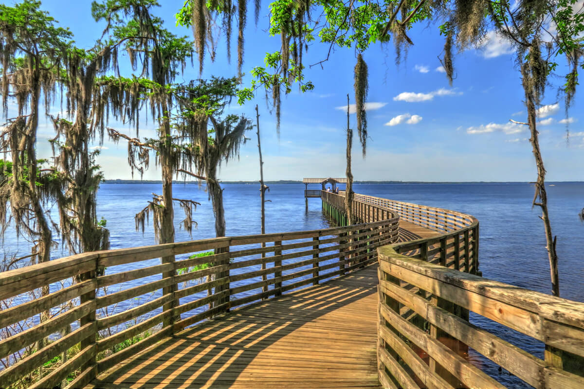 Beautiful Pier and Cypress Trees on a Bright Sunny Day at Alpine Groves Park near Mandarin in Jacksonville Florida
