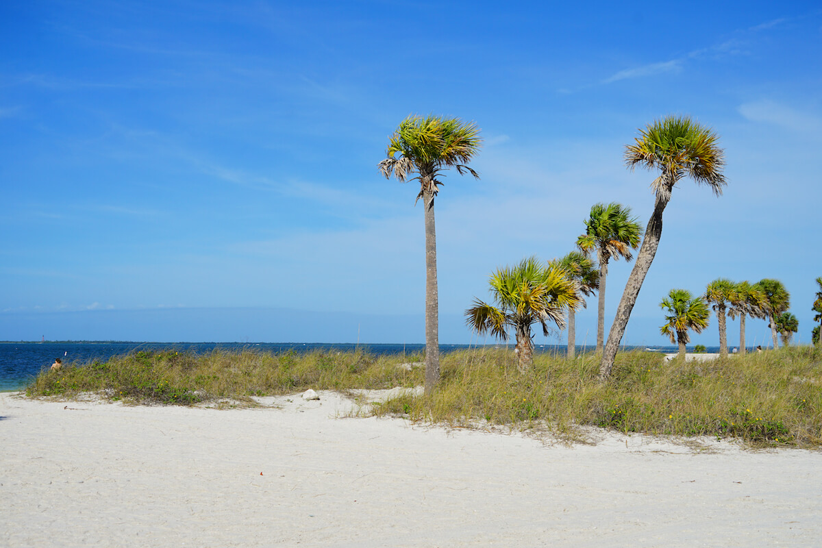 Florida palm harbor beach