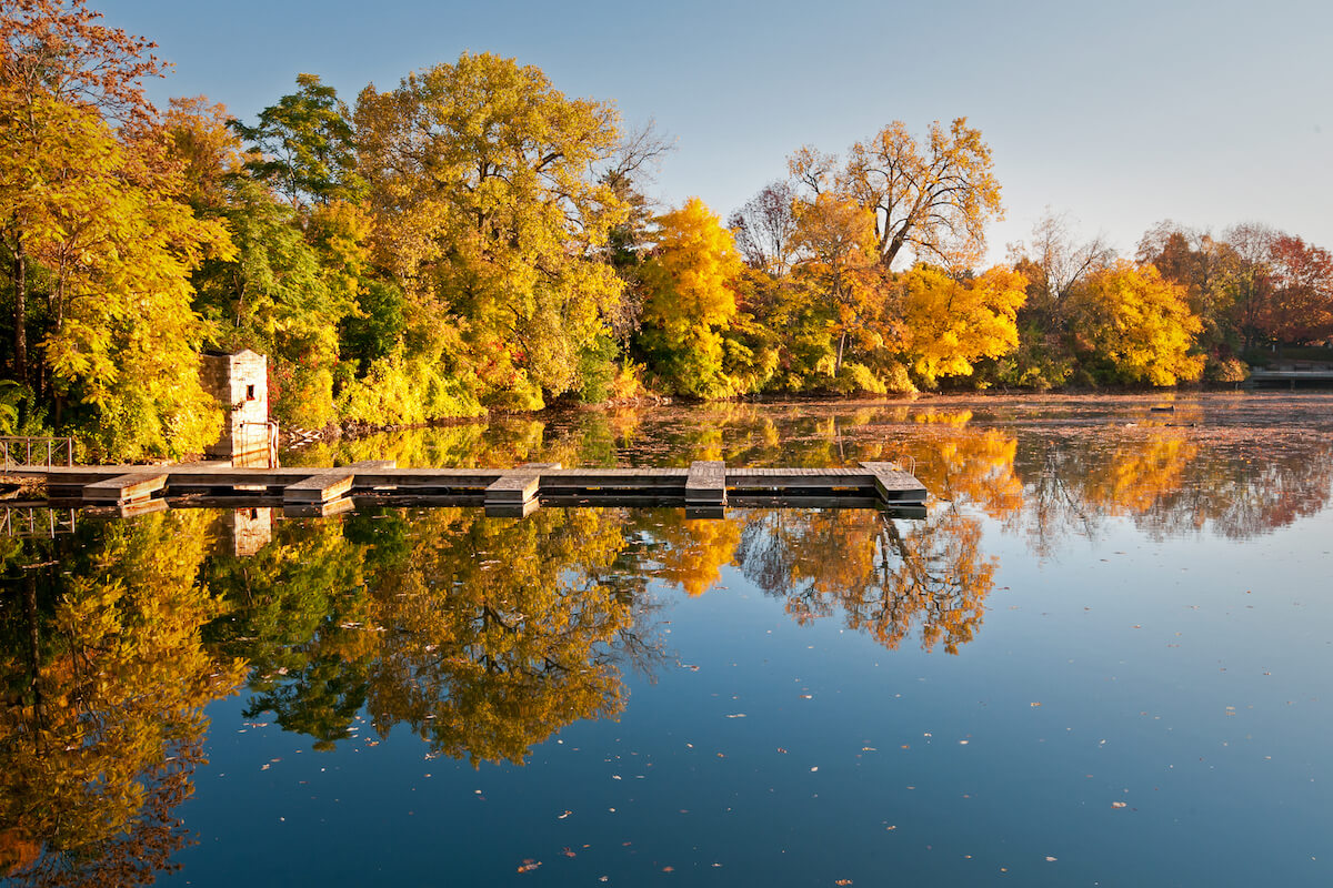 Quarry Lake Autumn Golden fall color is reflected in the calm surface of Quarry Lake in downtown Naperville, Illinois.