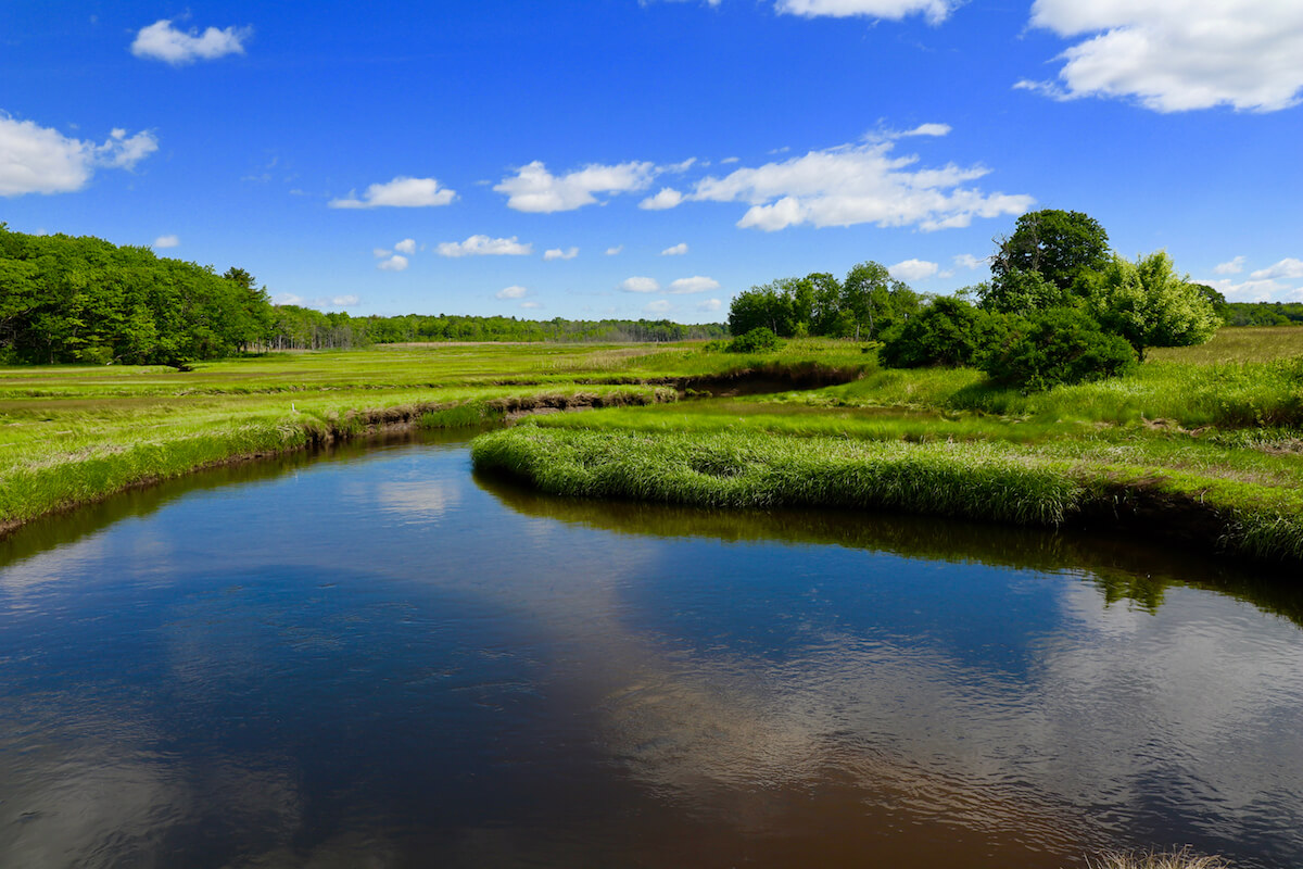 Marsh view in Scarborough Maine