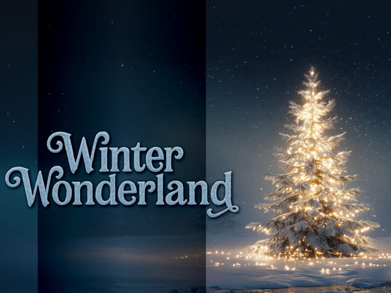 Winter Sparkles Bright at HarborChase of Boynton Beach