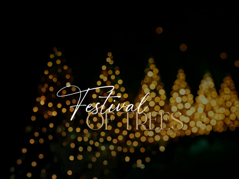 Celebrate The Spirit Of The Season at HarborChase of Palm Coast