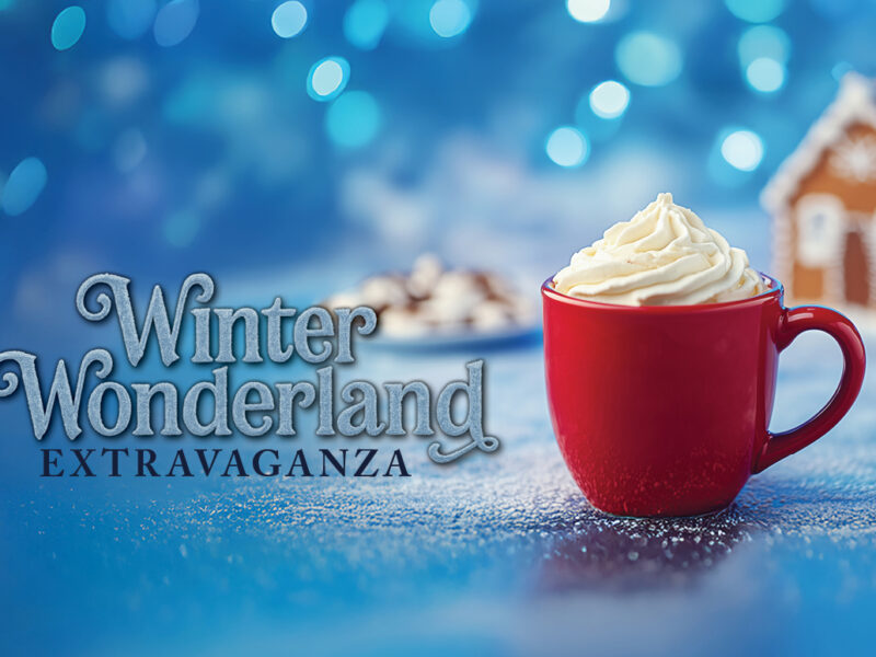 A Festive Winter Wonderland at HarborChase of Palm Coast