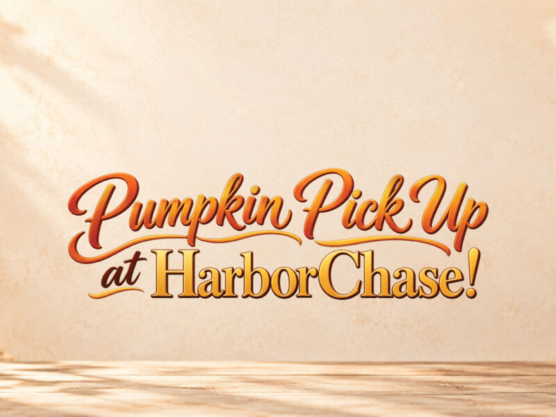 Your Perfect Pumpkin Is Waiting at HarborChase of Plano