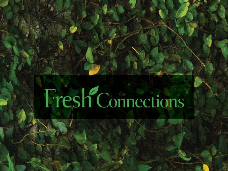 Where Healthcare Partnerships Take Root at HarborChase of Palm Coast