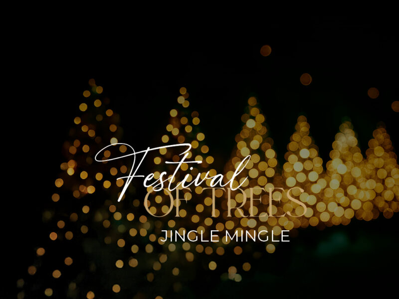 A Joyful Holiday Celebration Awaits At HarborChase of Wilmington