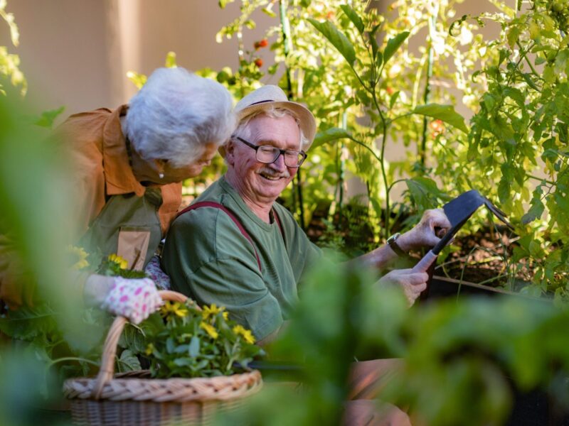 Life Elevated: Outdoor Experiences in Luxury Senior Living